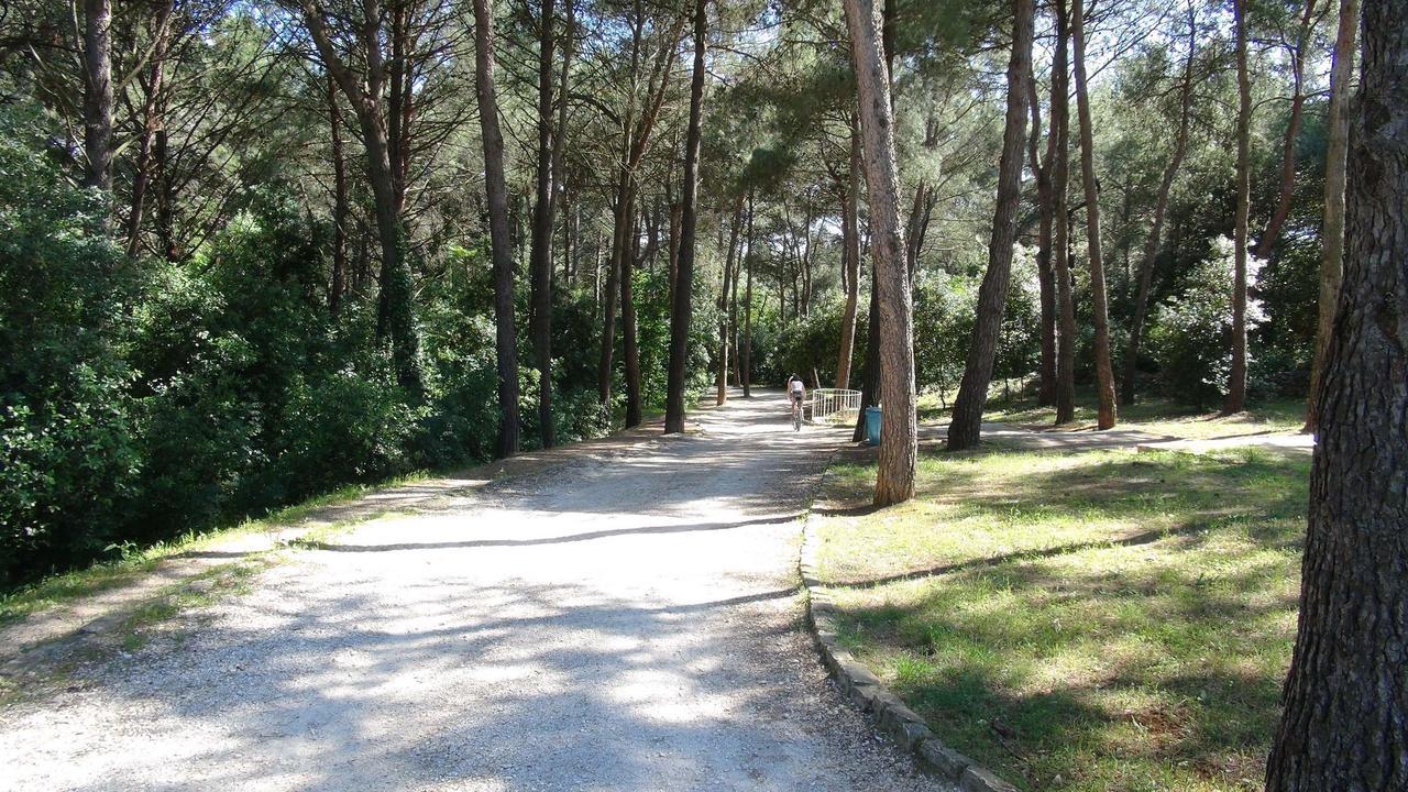 Apartments Amalia Rovinj Bagian luar foto